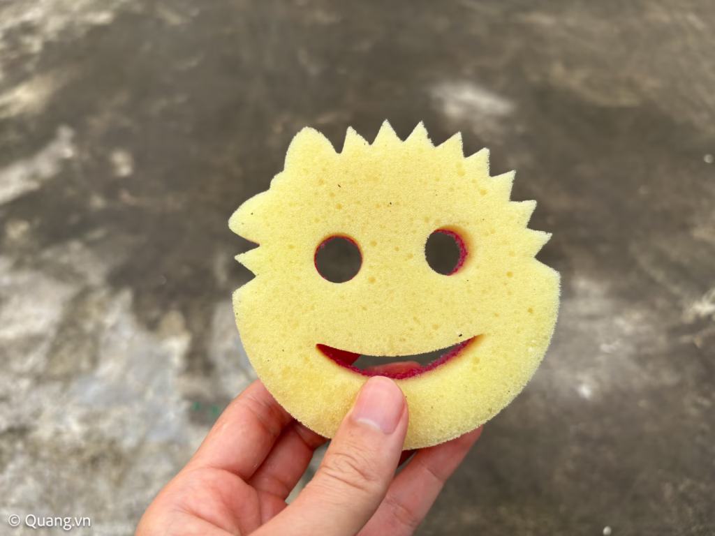 review-scrub-daddy