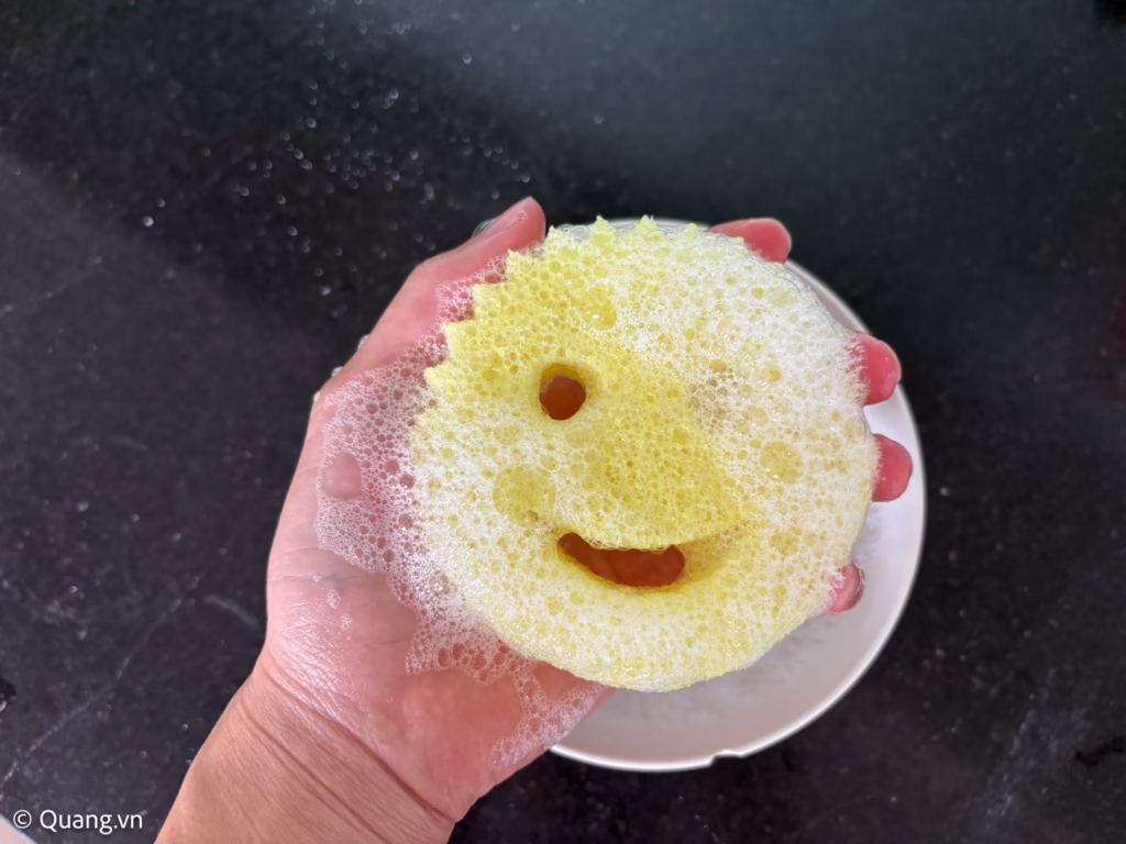review-scrub-daddy